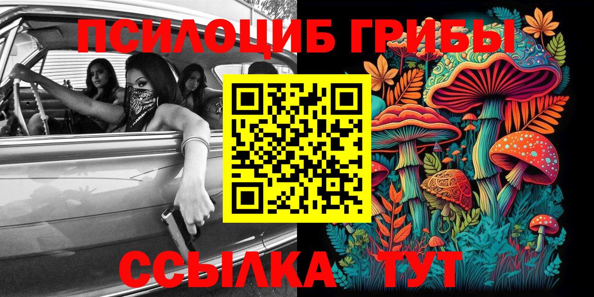 Галлюциногенные грибы Psilocybine cubensis Чистополь
