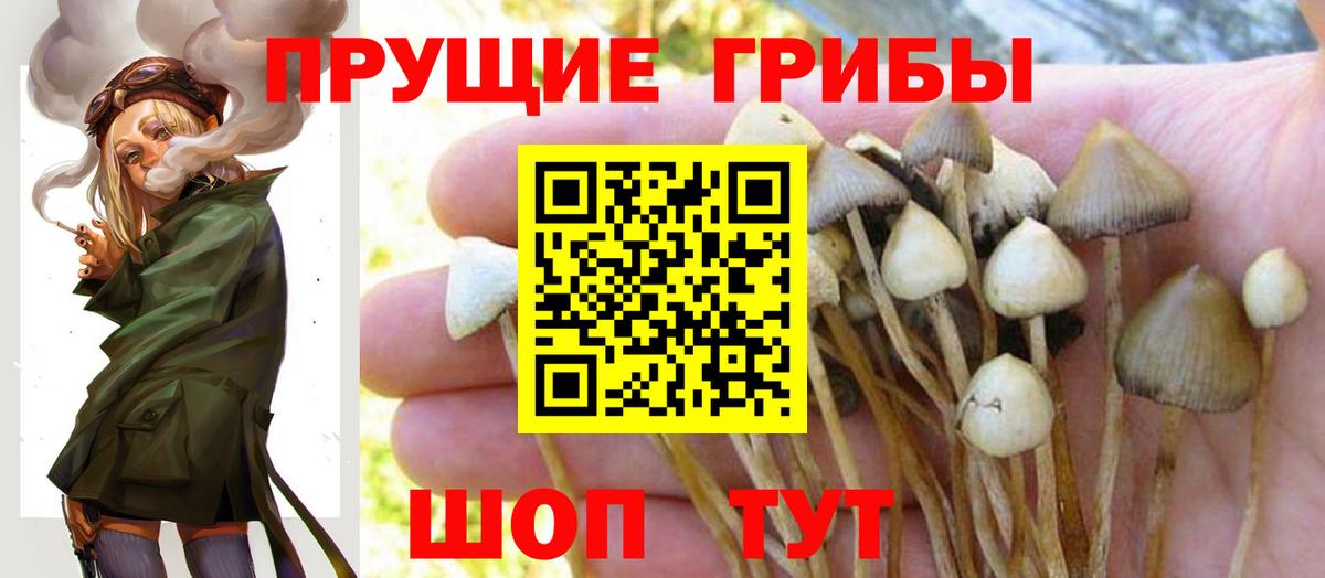 Галлюциногенные грибы прущие грибы  Вход с VPN  купить   Чистополь 